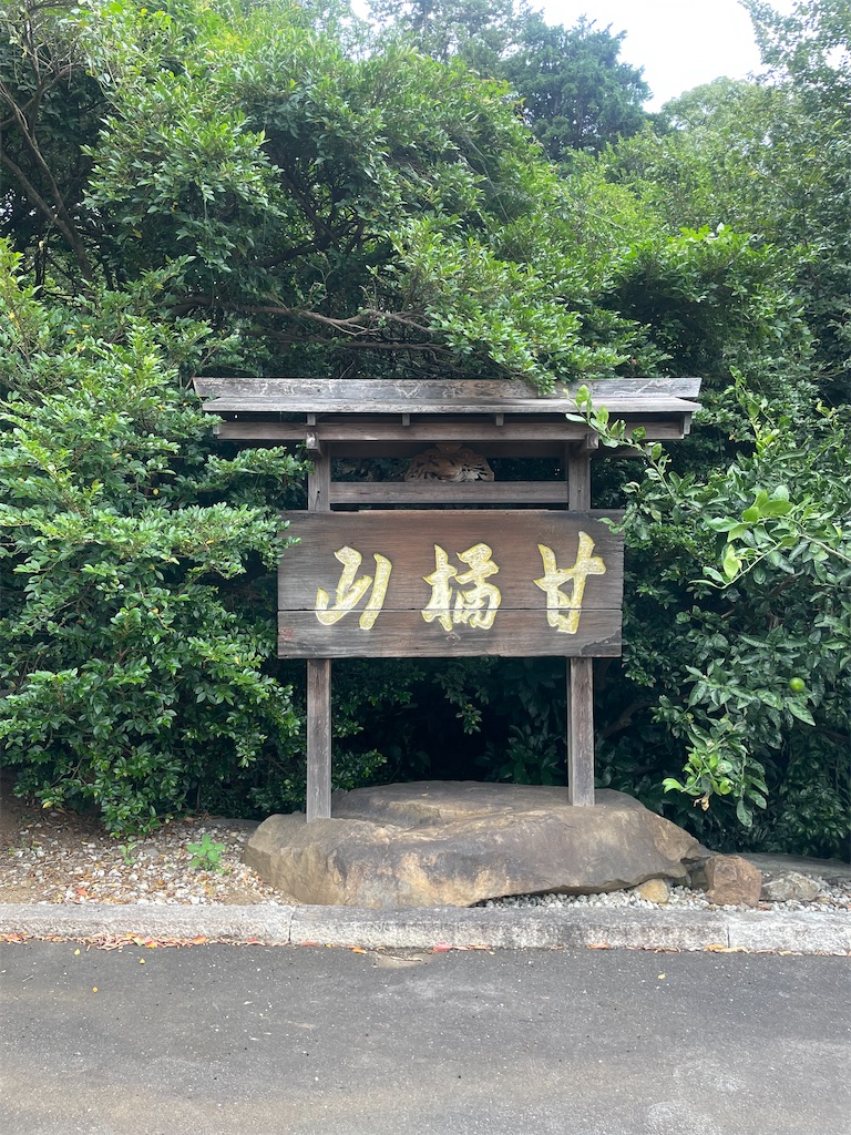 f:id:fukuhanny:20241107210142j:image