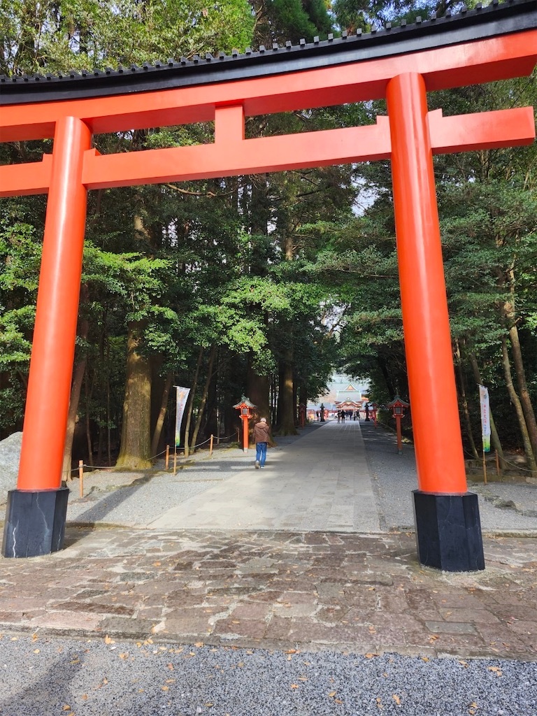 f:id:fukuhanny:20241215103553j:image f:id:fukuhanny:20241215103553j:image