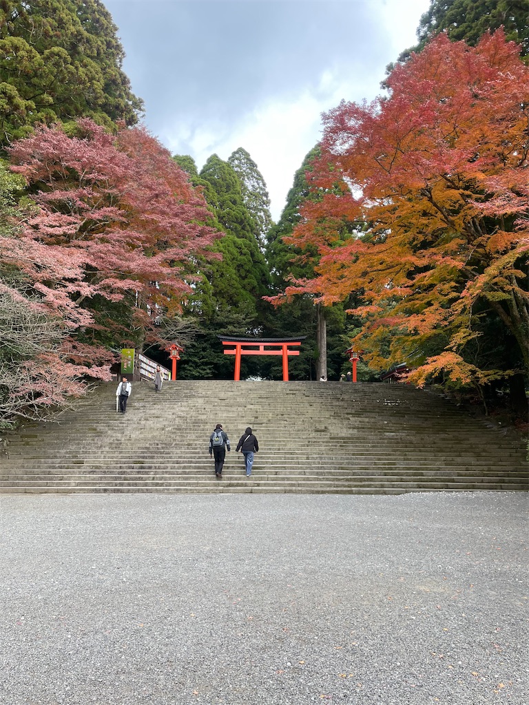 f:id:fukuhanny:20241215103601j:image f:id:fukuhanny:20241215103601j:image