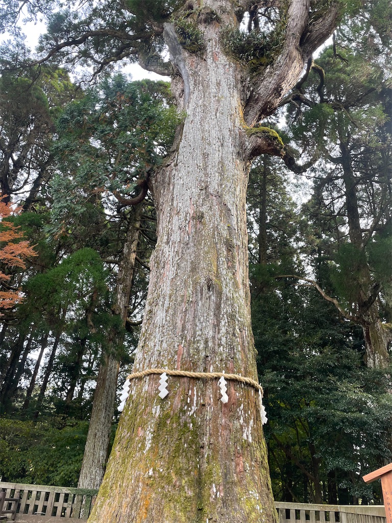 f:id:fukuhanny:20250107231319j:image f:id:fukuhanny:20250107231319j:image