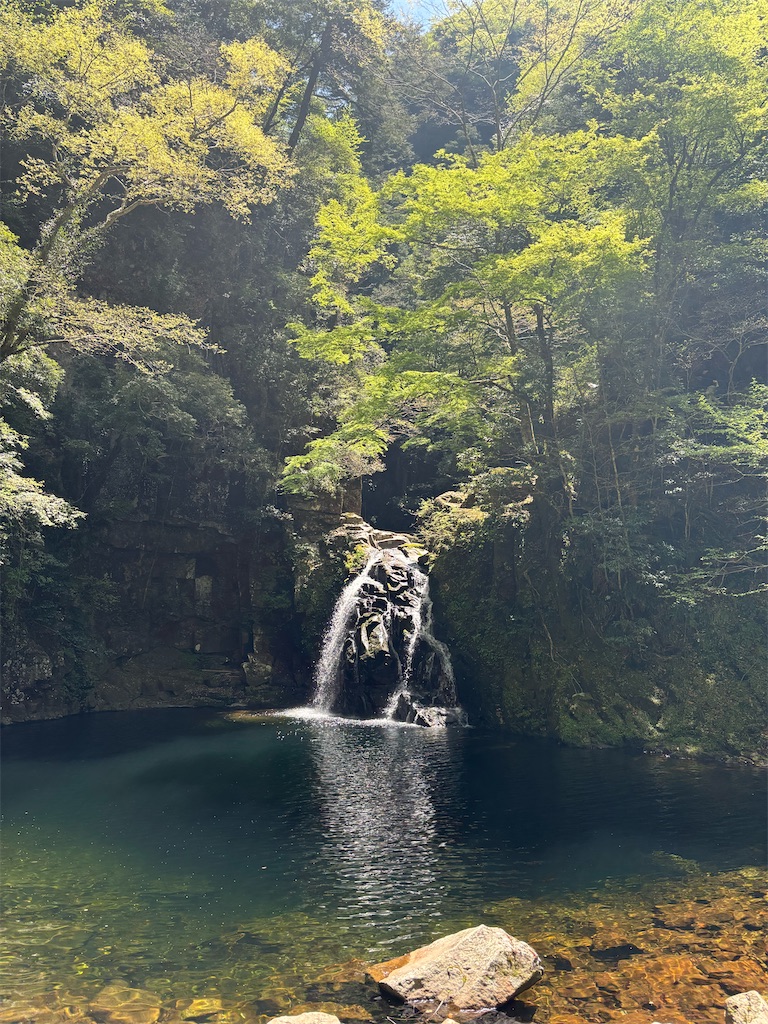 f:id:fukuhanny:20250430130714j:image