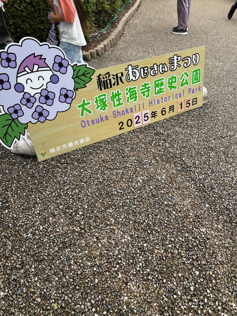 f:id:fukuhanny:20250615230229j:image