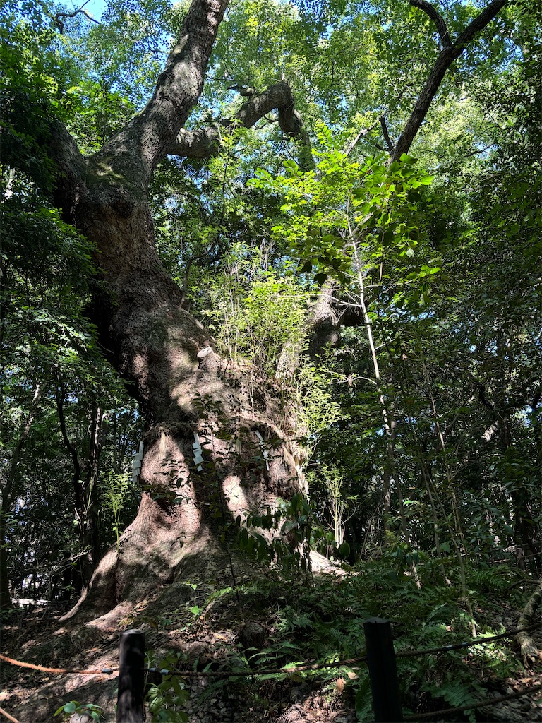 f:id:fukuhanny:20250831173934j:image