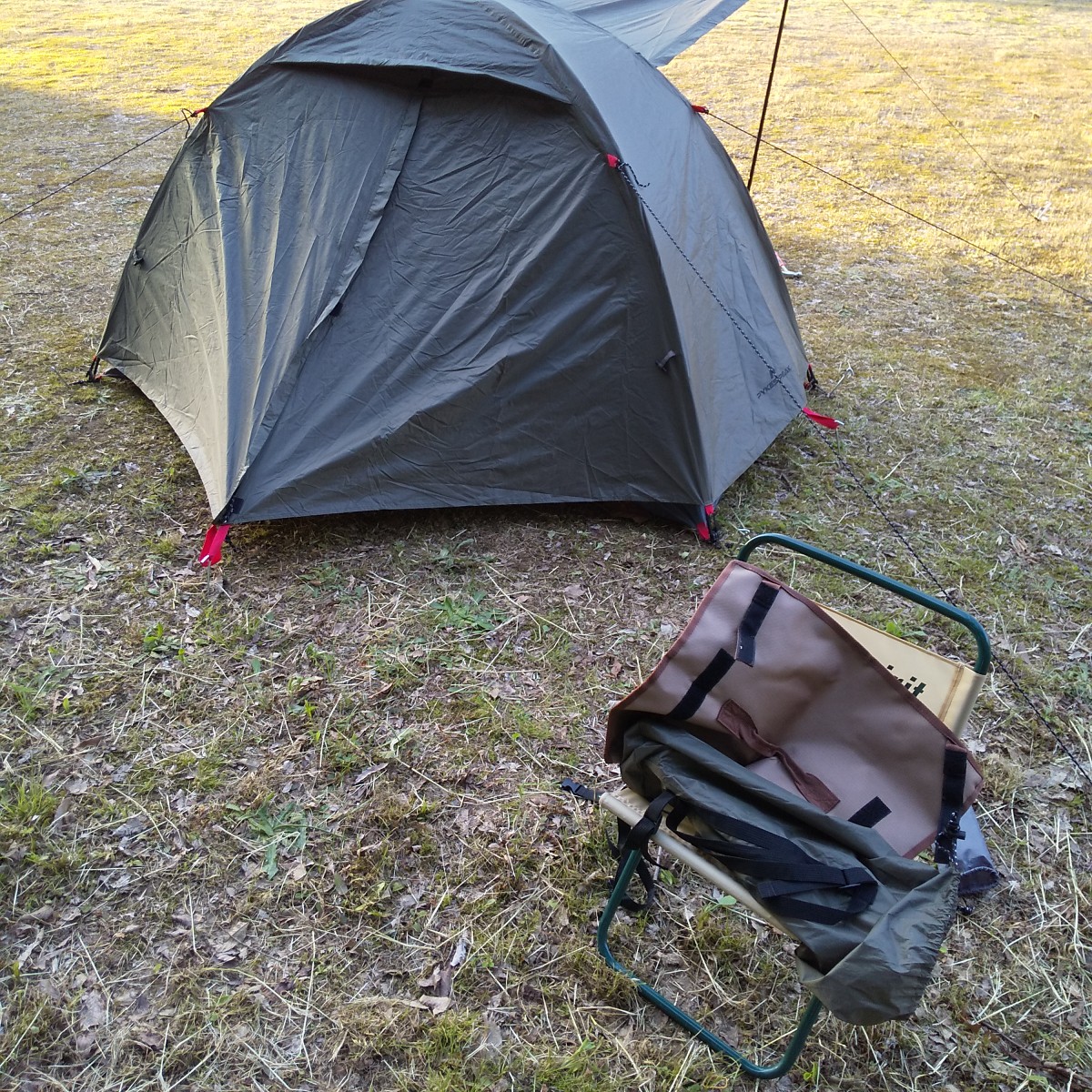 お尻側(別にどちらからでもいけますが)