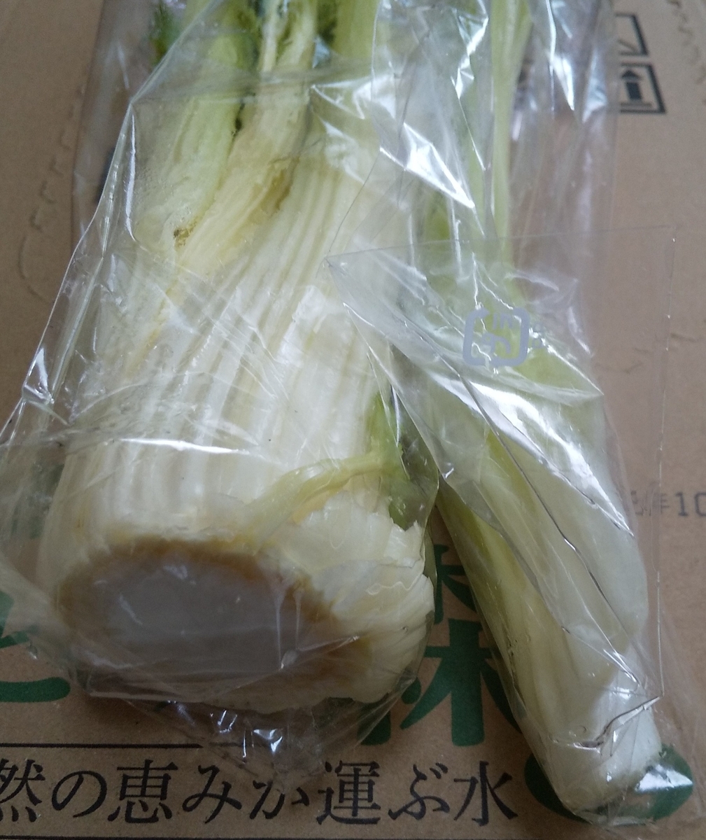 セロリの一株は珍しい