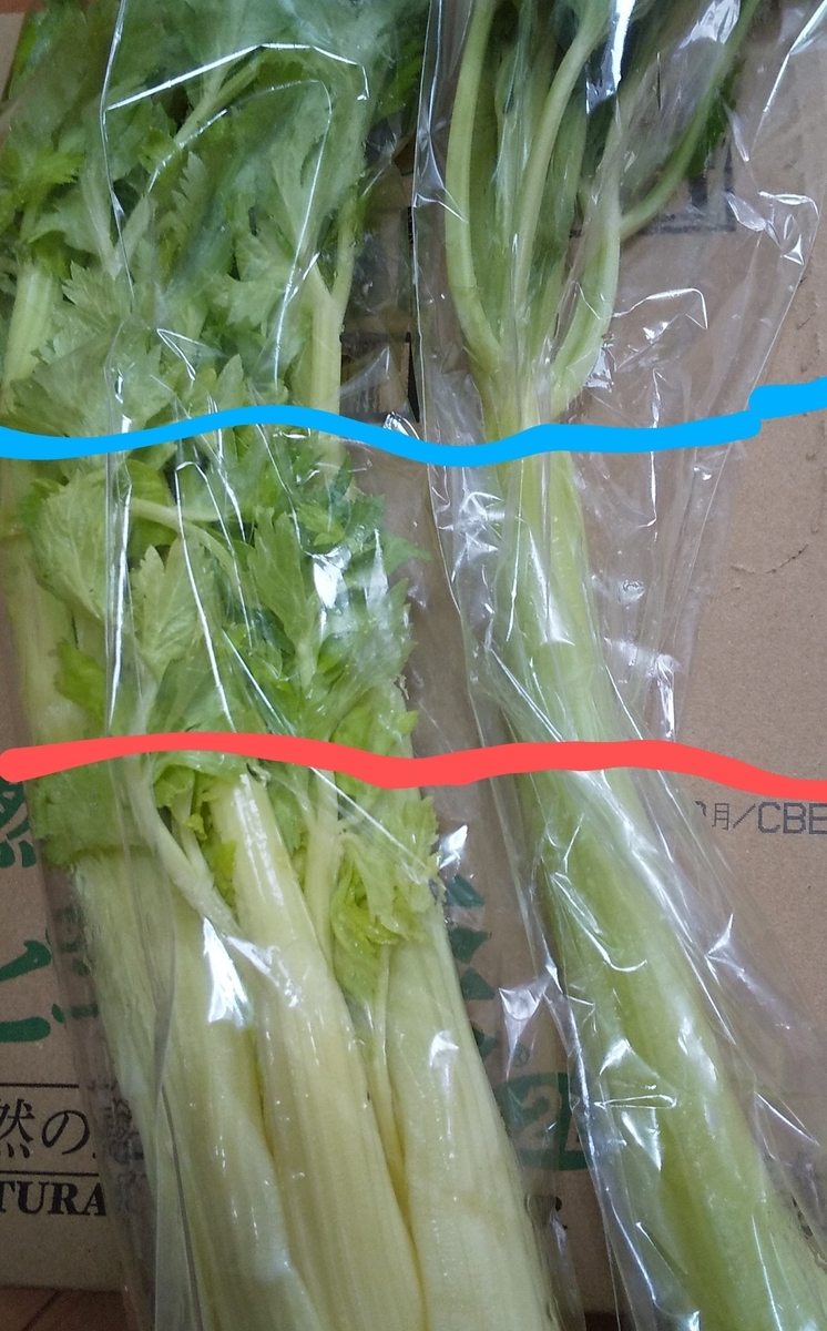 左は長さがちょっと一本売りには足りないぽい