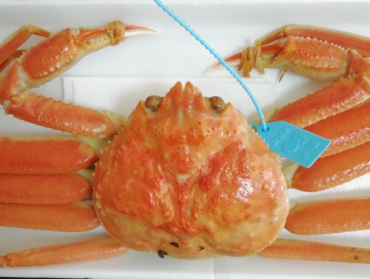 カニカニどこカニ