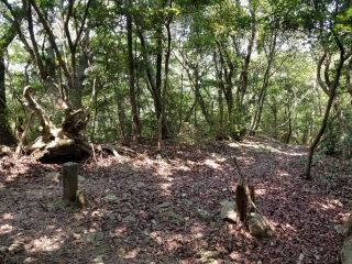 f:id:fukuihi:20181014141931j:plain f:id:fukuihi:20181014141931j:plain