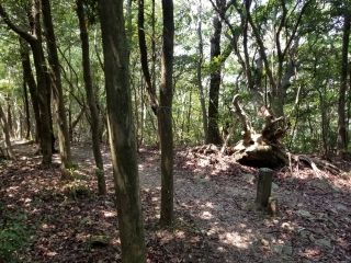 f:id:fukuihi:20181014141942j:plain f:id:fukuihi:20181014141942j:plain