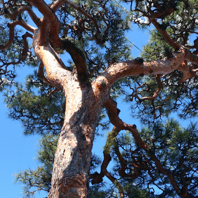 f:id:fukuitabi:20160218160247j:plain