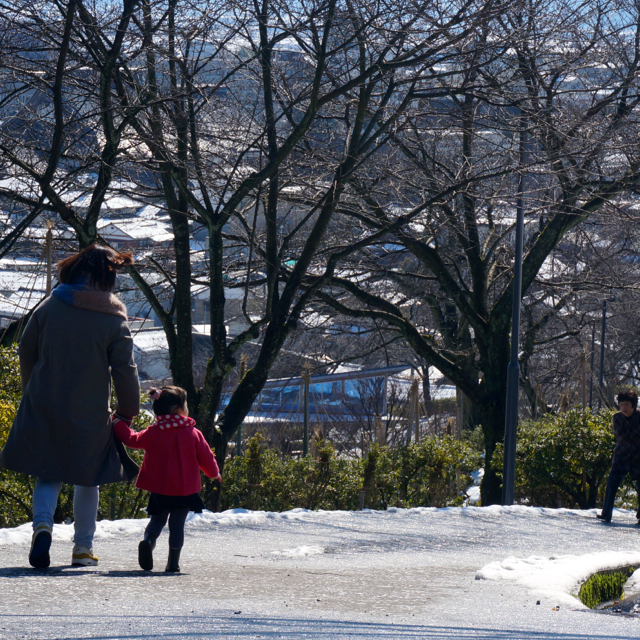 f:id:fukuitabi:20160218175756j:plain