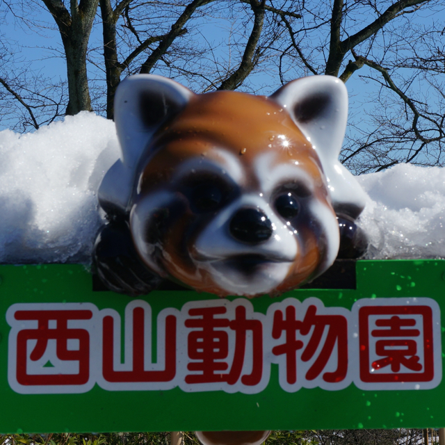 f:id:fukuitabi:20160218180017j:plain