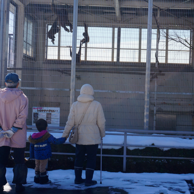 f:id:fukuitabi:20160218180147j:plain