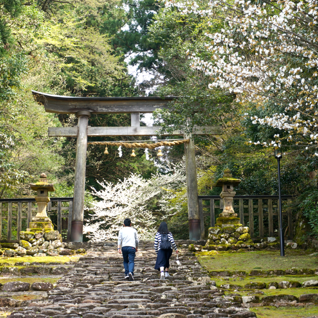 勝山自転車徘徊 〜平泉寺白山神社と越前大仏〜 - 北陸徘徊人