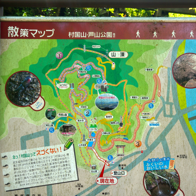 f:id:fukuitabi:20160424120118j:plain f:id:fukuitabi:20160424120118j:plain