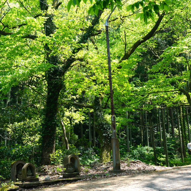 f:id:fukuitabi:20160424120158j:plain f:id:fukuitabi:20160424120158j:plain