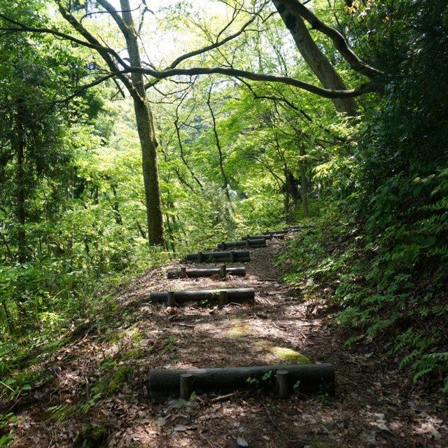 f:id:fukuitabi:20160424120223j:plain f:id:fukuitabi:20160424120223j:plain