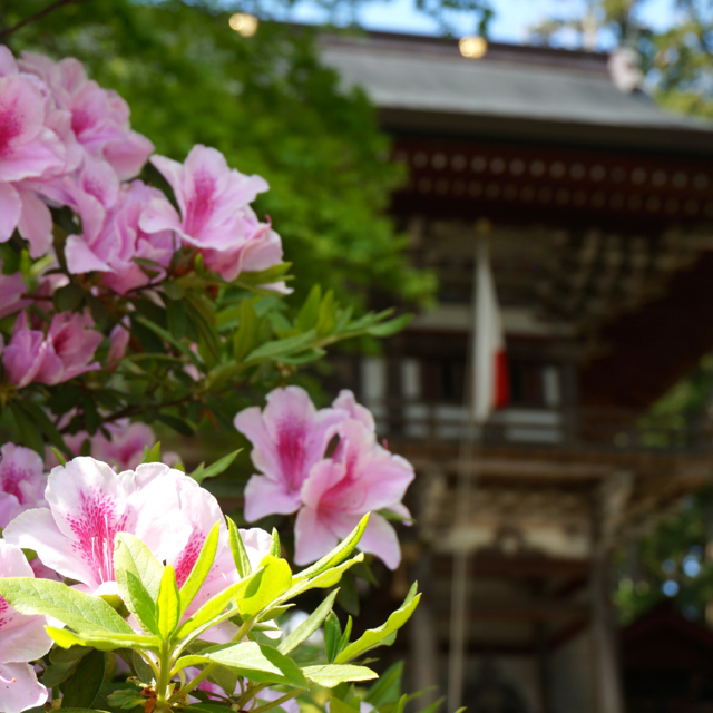 f:id:fukuitabi:20160430220208j:plain f:id:fukuitabi:20160430220208j:plain