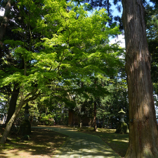 f:id:fukuitabi:20160430220724j:plain f:id:fukuitabi:20160430220724j:plain