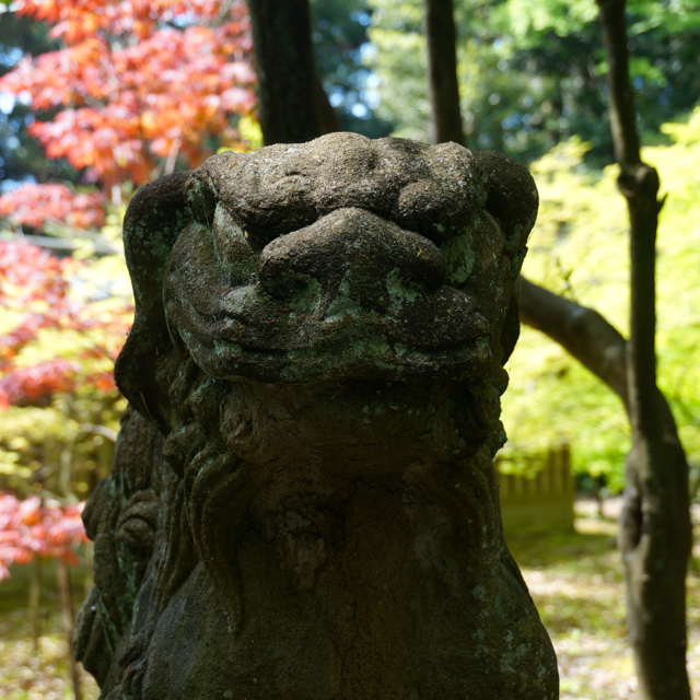 f:id:fukuitabi:20160430220842j:plain f:id:fukuitabi:20160430220842j:plain