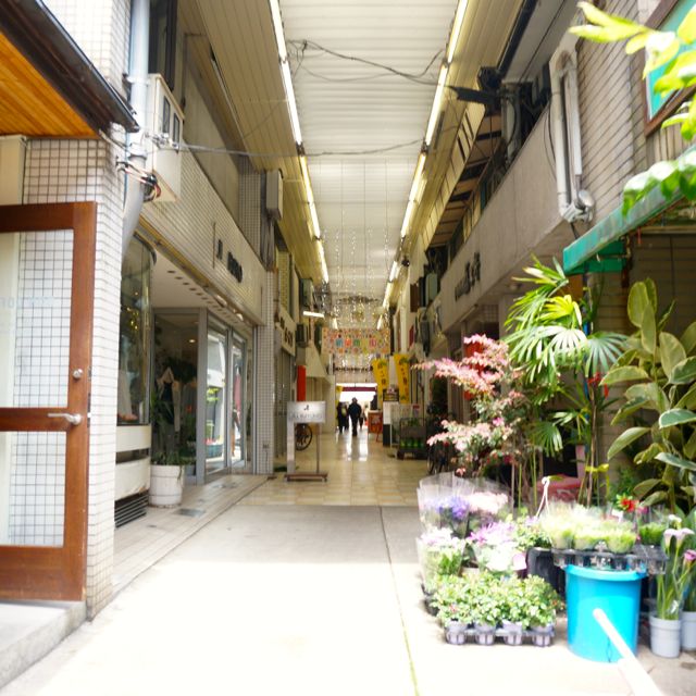 f:id:fukuitabi:20160503112909j:plain f:id:fukuitabi:20160503112909j:plain