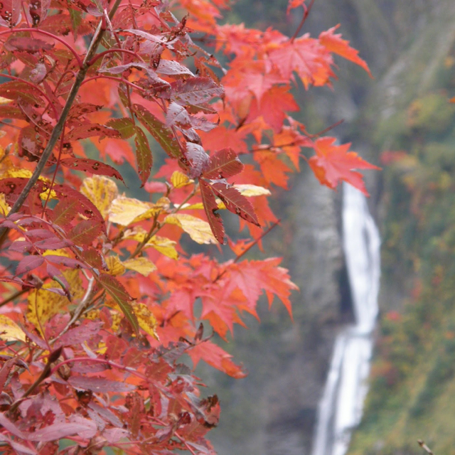 f:id:fukuitabi:20160811204110j:plain