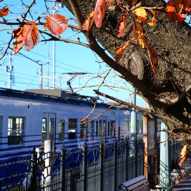 f:id:fukuitabi:20161205092909j:plain