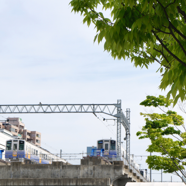 f:id:fukuitabi:20170503202043j:plain f:id:fukuitabi:20170503202043j:plain