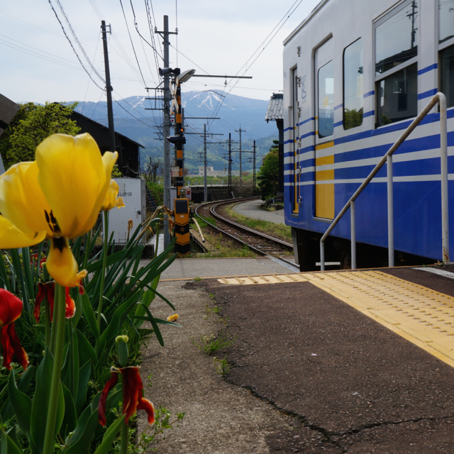 f:id:fukuitabi:20170503202628j:plain f:id:fukuitabi:20170503202628j:plain