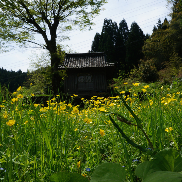 f:id:fukuitabi:20170503202916j:plain f:id:fukuitabi:20170503202916j:plain