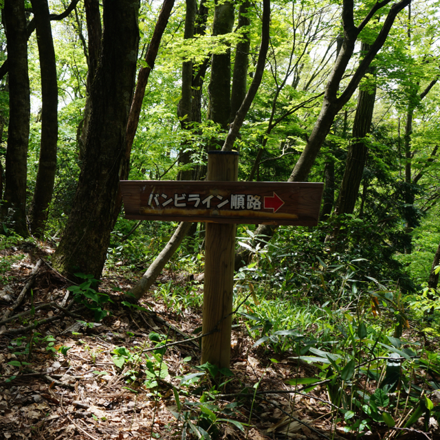 f:id:fukuitabi:20170503203059j:plain f:id:fukuitabi:20170503203059j:plain