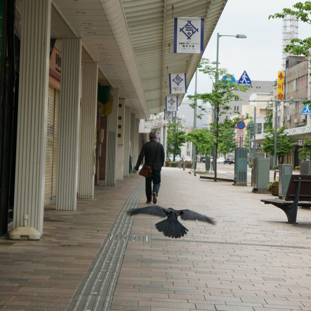 f:id:fukuitabi:20170514154617j:plain