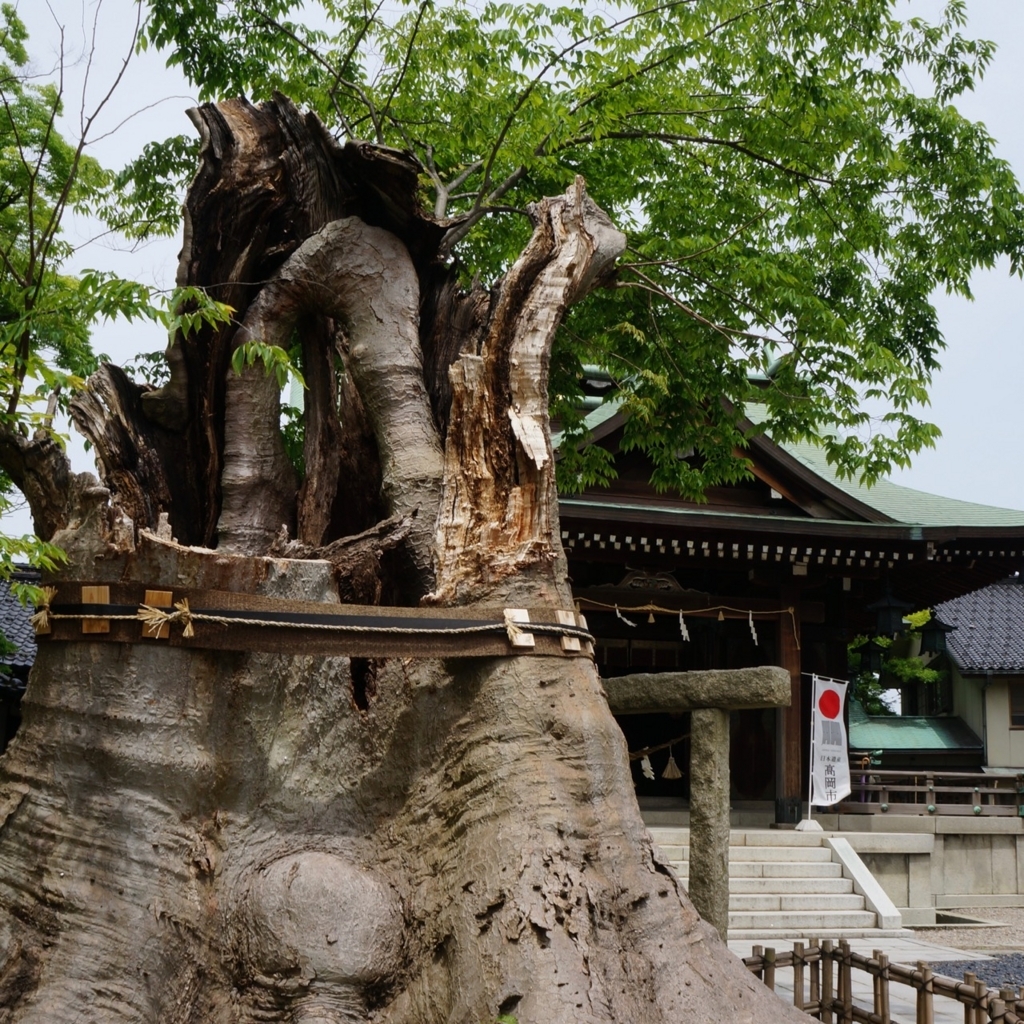 f:id:fukuitabi:20180521114808j:plain f:id:fukuitabi:20180521114808j:plain