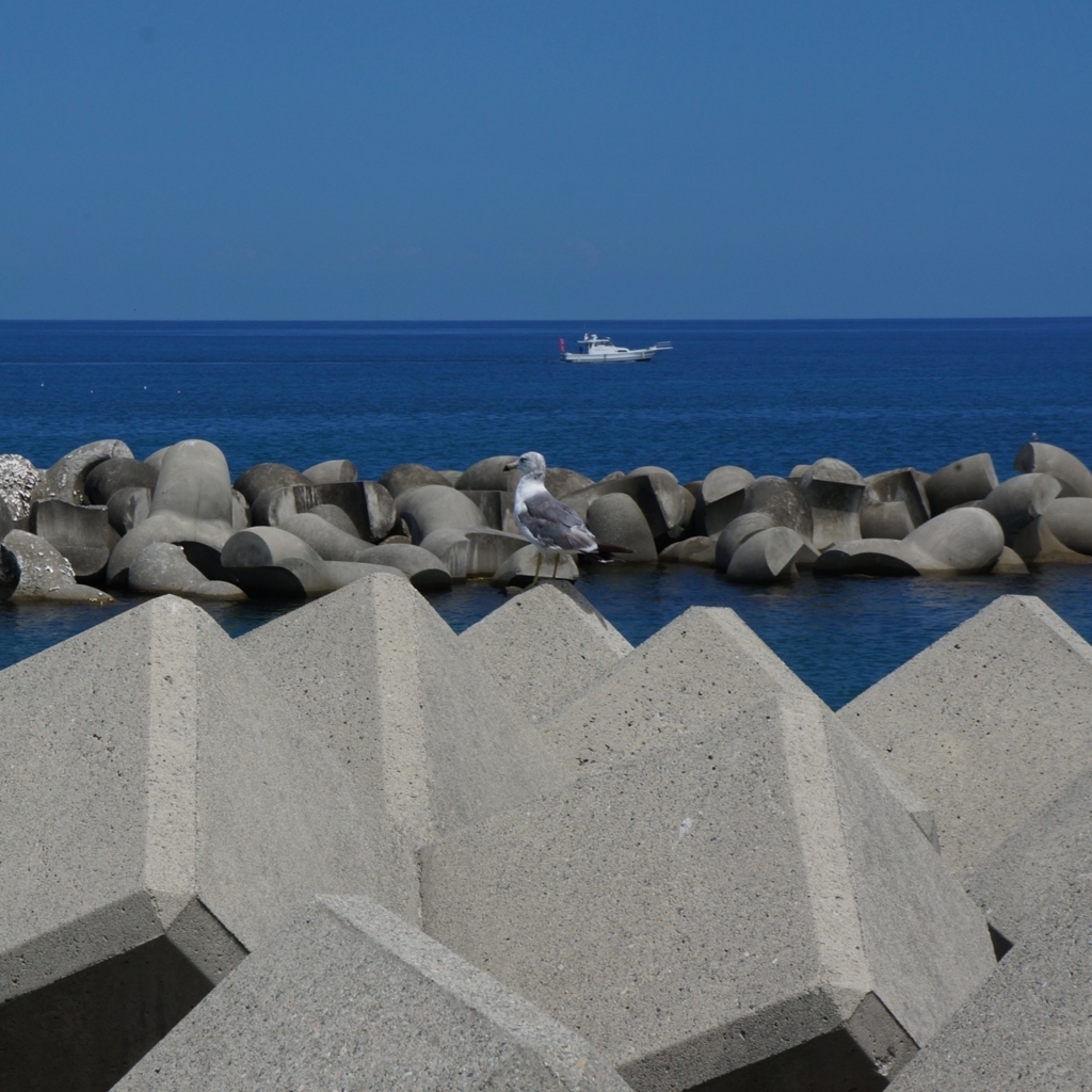 f:id:fukuitabi:20180804183826j:plain