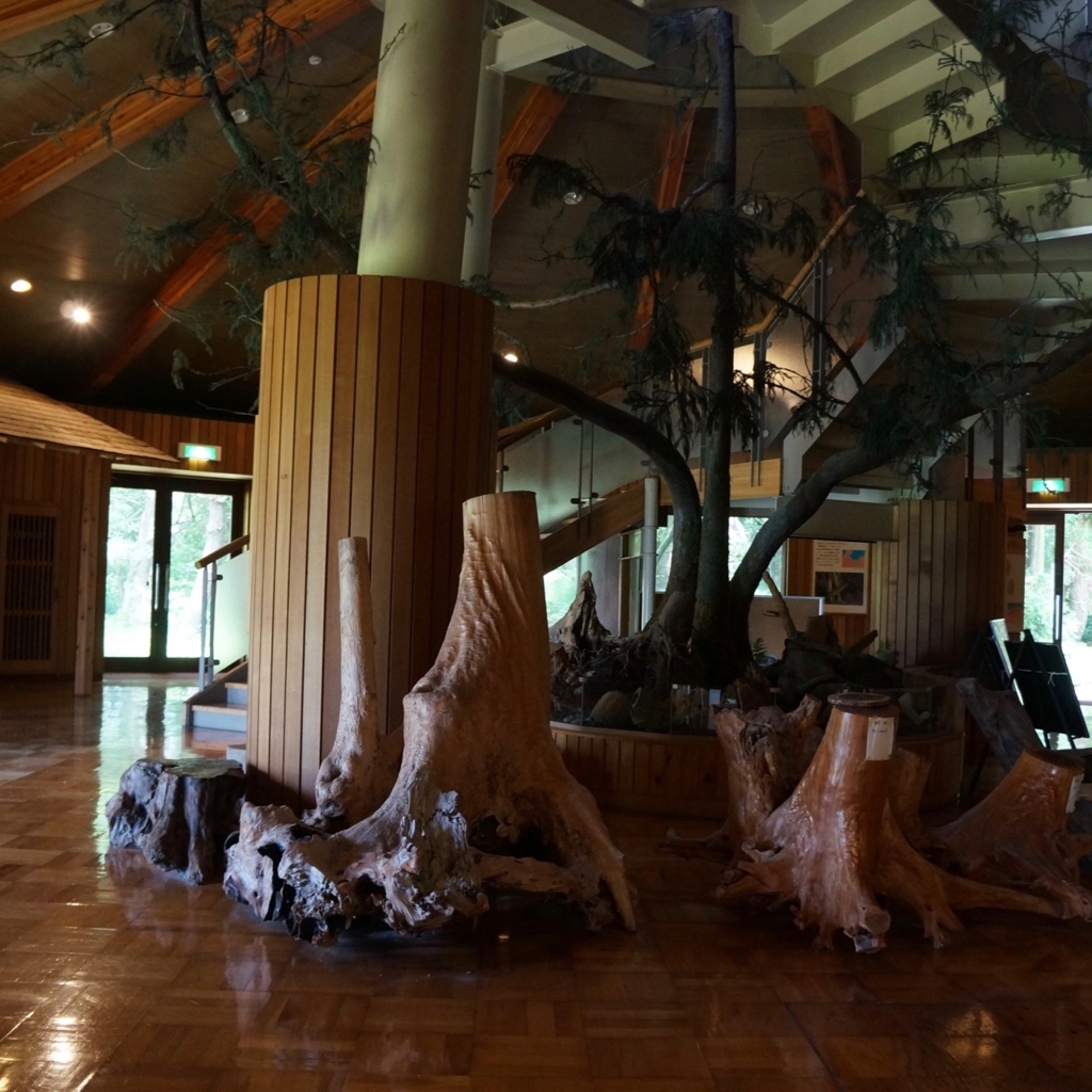 f:id:fukuitabi:20180804184058j:plain