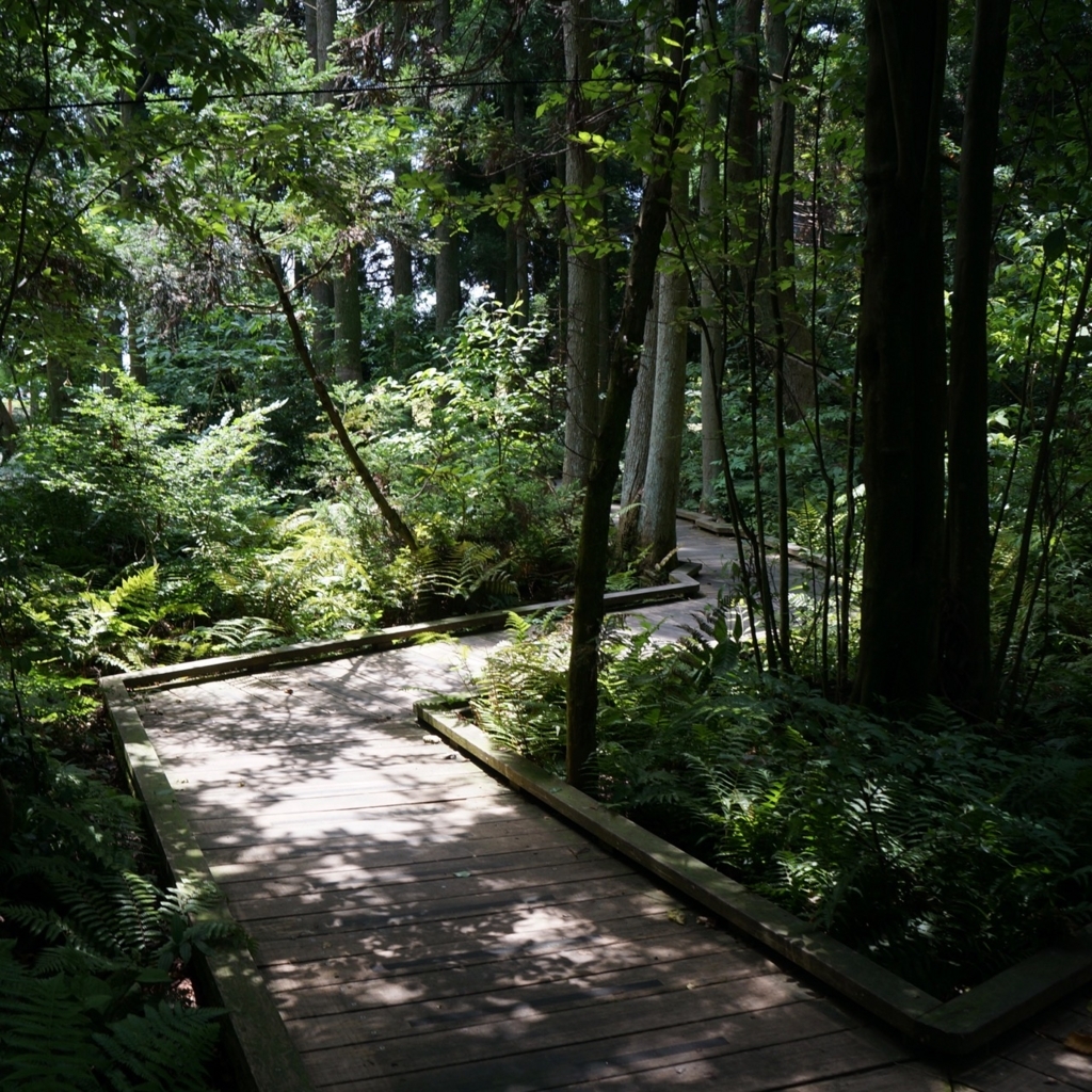 f:id:fukuitabi:20180804184205j:plain