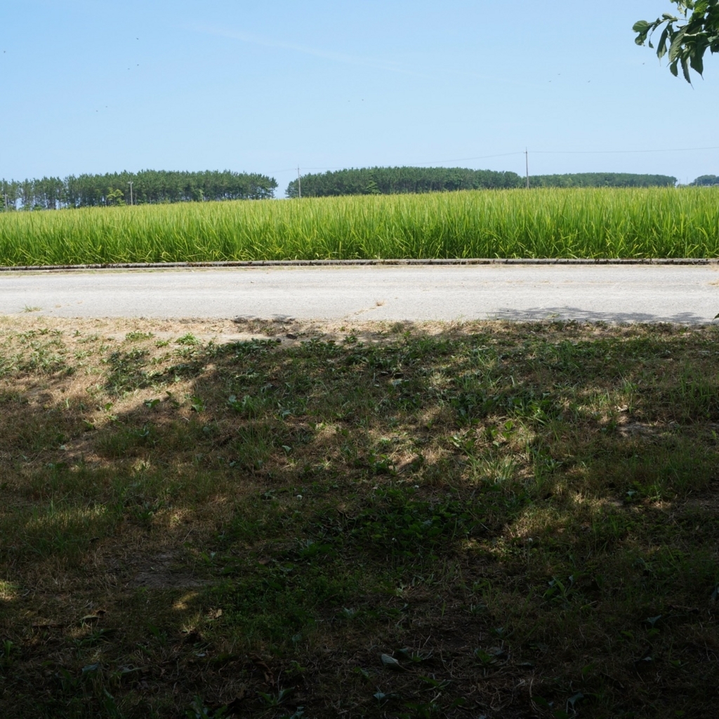 f:id:fukuitabi:20180804184501j:plain