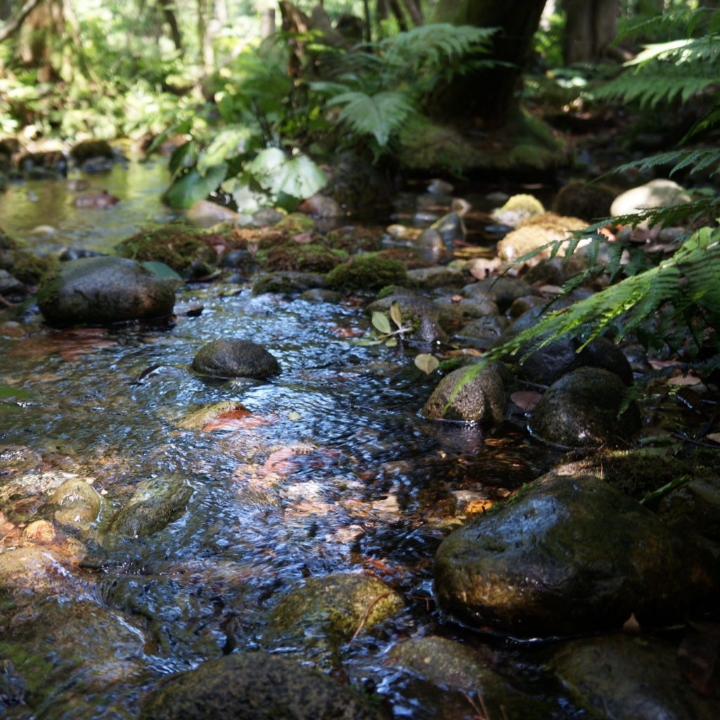 f:id:fukuitabi:20180804184529j:plain