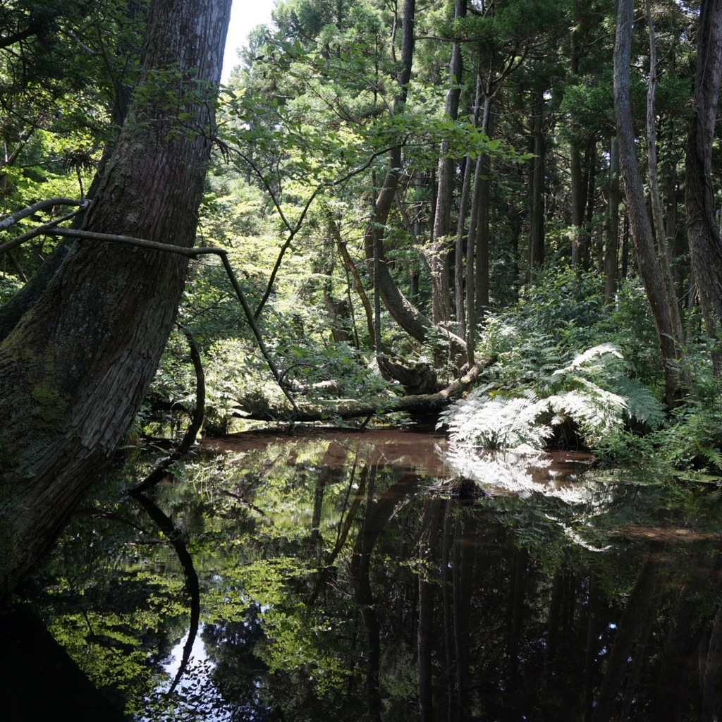 f:id:fukuitabi:20180804184604j:plain