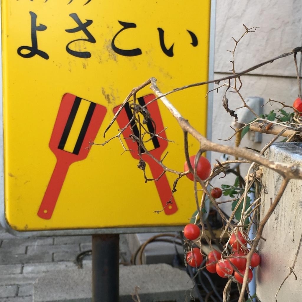 f:id:fukuitabi:20181018134453j:plain