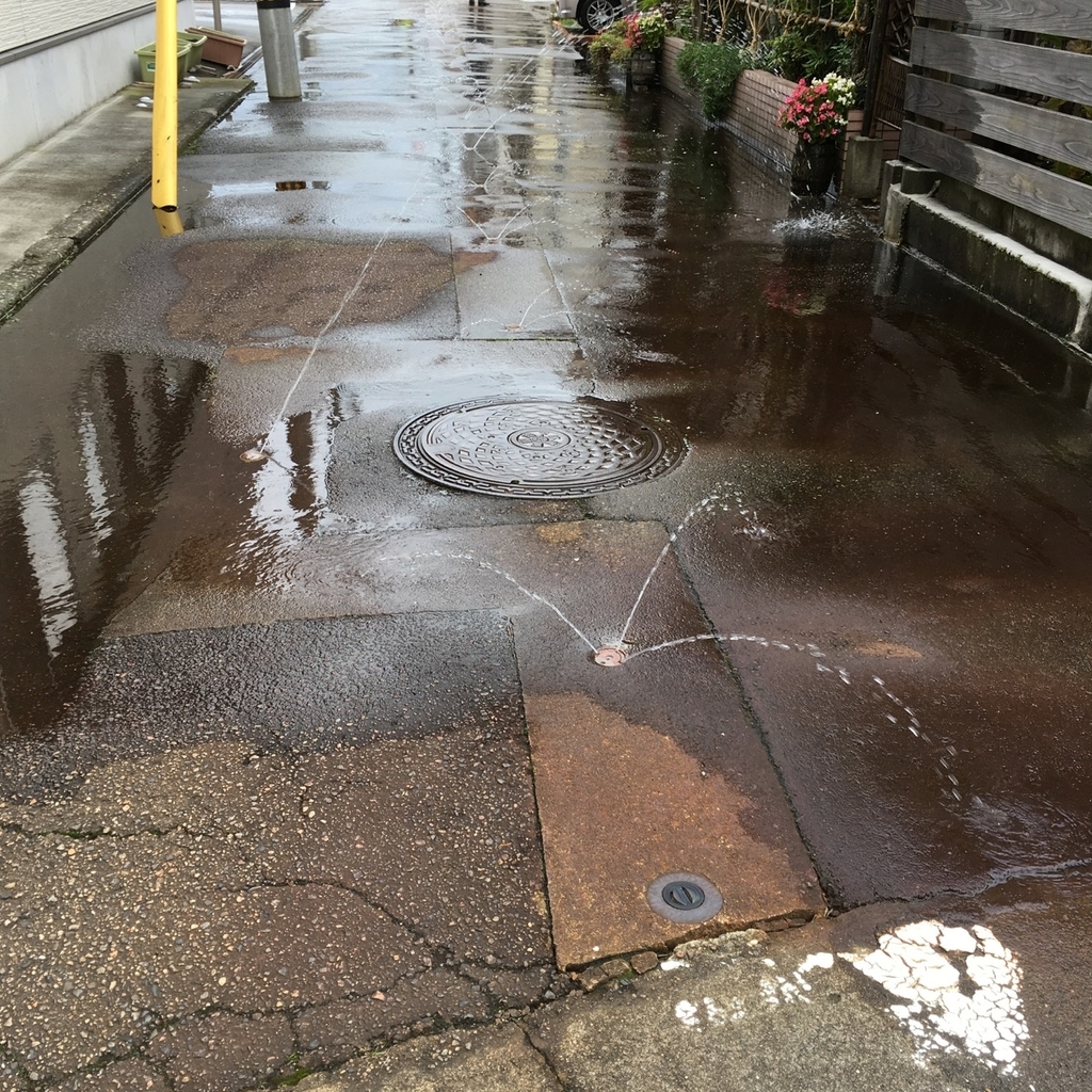 f:id:fukuitabi:20181113210922j:plain f:id:fukuitabi:20181113210922j:plain