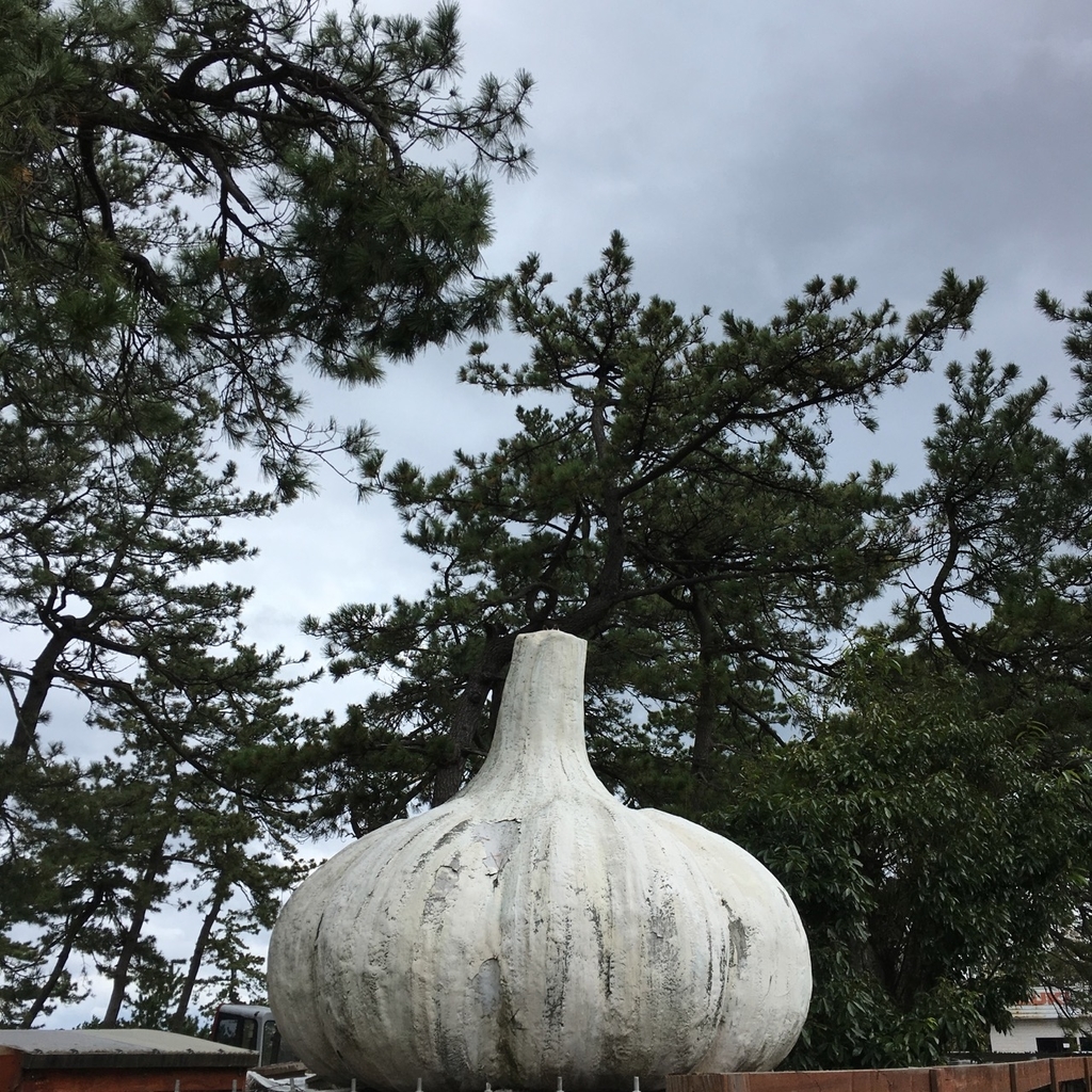 f:id:fukuitabi:20181113211346j:plain f:id:fukuitabi:20181113211346j:plain