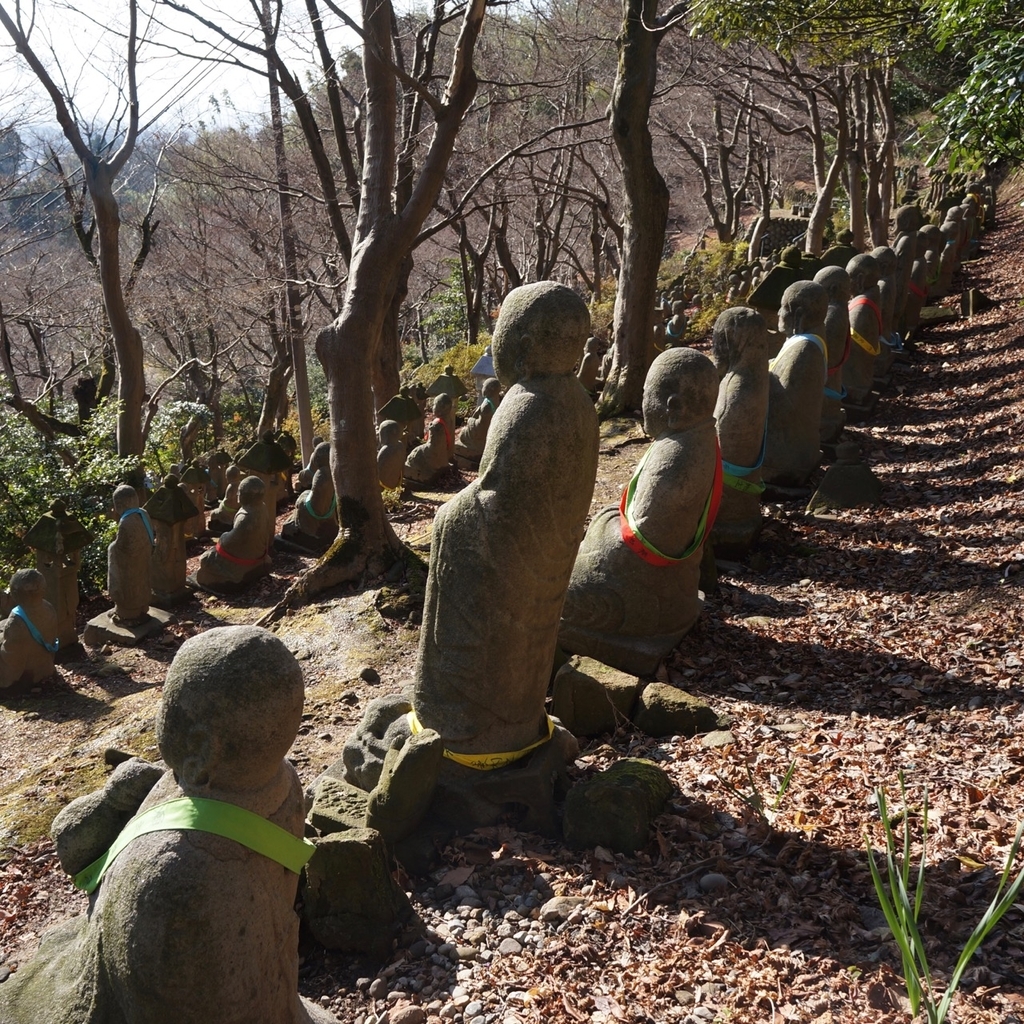 f:id:fukuitabi:20181221214856j:plain f:id:fukuitabi:20181221214856j:plain