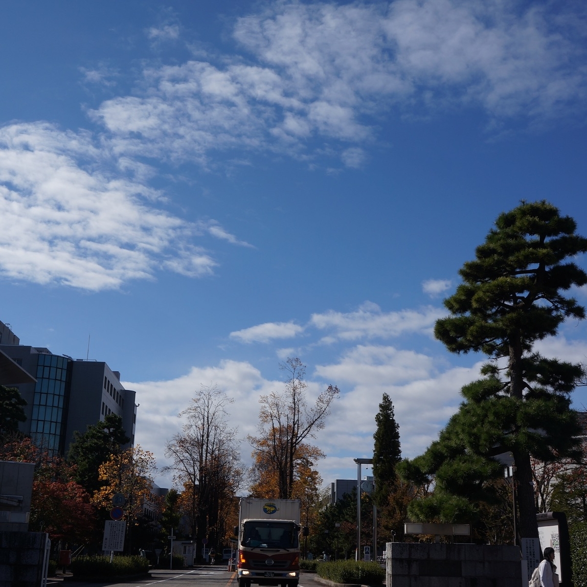 f:id:fukuitabi:20191117103103j:plain