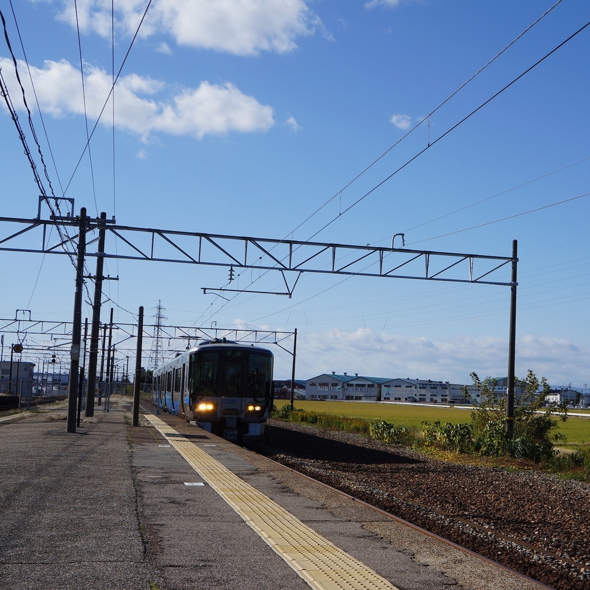 f:id:fukuitabi:20191117104050j:plain