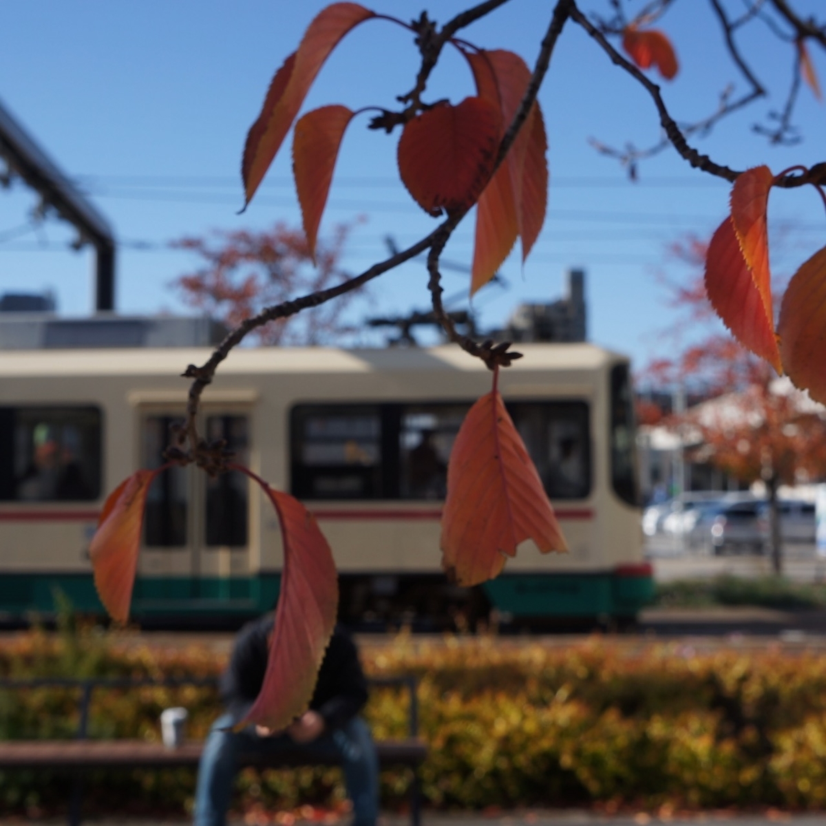 f:id:fukuitabi:20191117104625j:plain