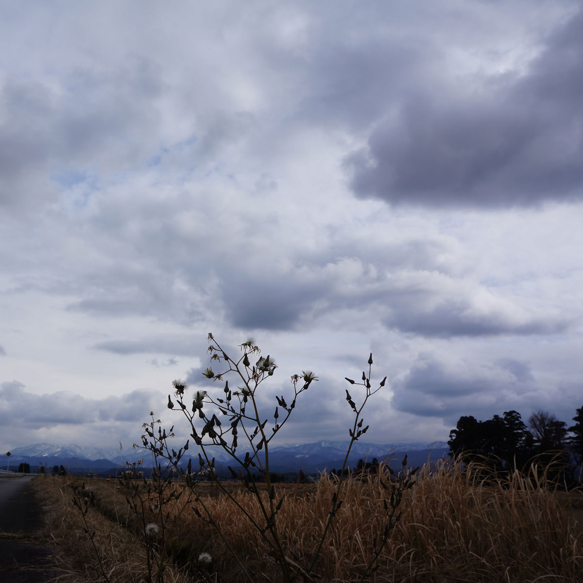 f:id:fukuitabi:20200119092533j:plain