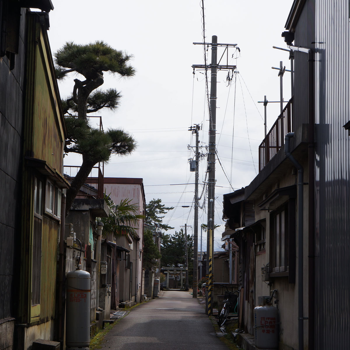 f:id:fukuitabi:20200229065332j:plain f:id:fukuitabi:20200229065332j:plain