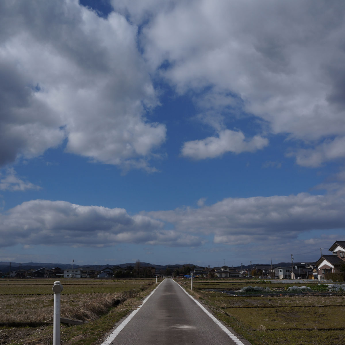 f:id:fukuitabi:20200307062302j:plain