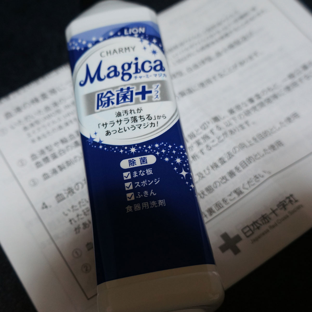 f:id:fukuitabi:20200307064251j:plain